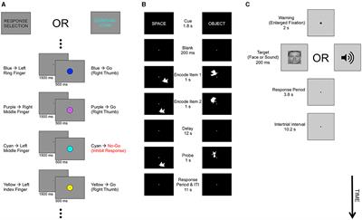 Flexible encoding of multiple task dimensions in human cerebral cortex